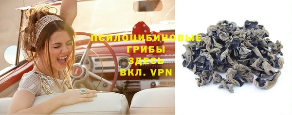 трава Гусиноозёрск