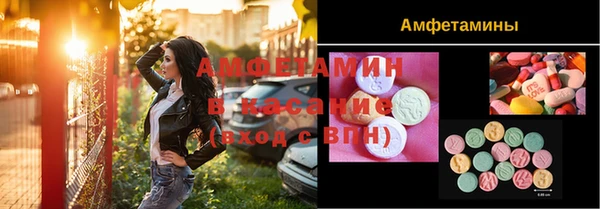 гидра Гусев