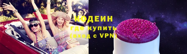 гидра Гусев