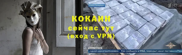 гидра Гусев