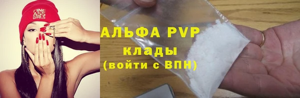 трава Гусиноозёрск