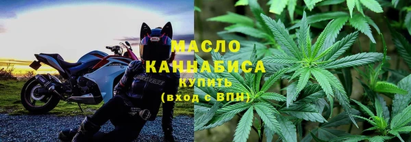 трава Гусиноозёрск