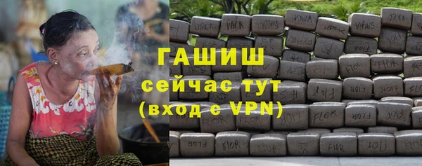 гидра Гусев