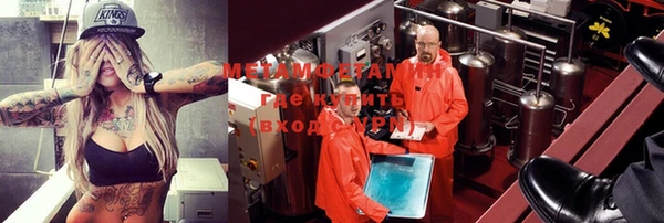 гидра Гусев
