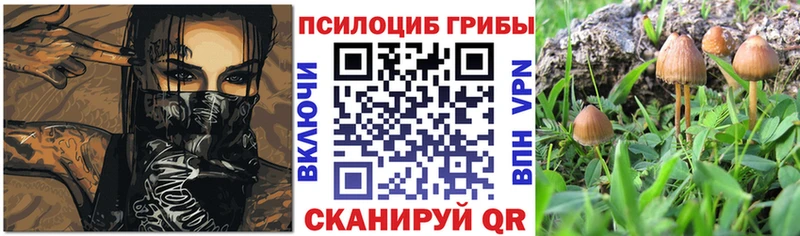 Галлюциногенные грибы Psilocybe  наркошоп  Сыктывкар 